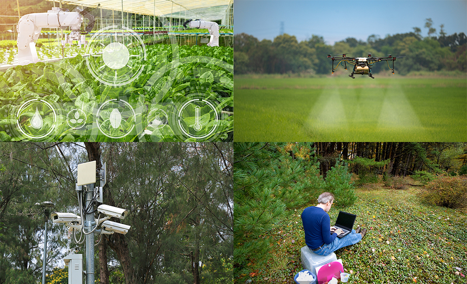 遠(yuǎn)距離傳輸wifi模塊數(shù)據(jù)傳輸農(nóng)田/森林無(wú)線自組網(wǎng)應(yīng)用